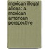 Mexican Illegal Aliens: A Mexican American Perspective