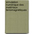 Simulation numérique des matériaux ferromagnétiques