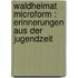 Waldheimat microform : Erinnerungen aus der Jugendzeit