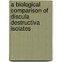 A Biological Comparison of Discula destructiva Isolates