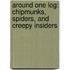 Around One Log: Chipmunks, Spiders, And Creepy Insiders