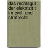 Das Rechtsgut Der Elektrizit T Im Civil- Und Strafrecht door Hermann Blass