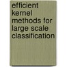 Efficient Kernel Methods For Large Scale Classification door Asharaf S