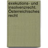 Exekutions- und Insolvenzrecht. Österreichisches Recht door Marianne Roth