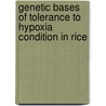 Genetic Bases Of Tolerance To Hypoxia Condition in Rice door S. Abdolhamid Angaji