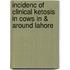 Incidenc Of Clinical Ketosis In Cows In & Around Lahore