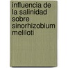 Influencia de La Salinidad Sobre Sinorhizobium Meliloti door Soraya Gabriela Kiriachek