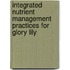 Integrated Nutrient Management Practices For Glory Lily