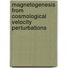 Magnetogenesis from Cosmological Velocity Perturbations by Maye Elmardi