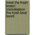 Meet the Fresh Beats! (Nickelodeon the Fresh Beat Band)