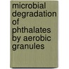 Microbial Degradation of Phthalates by Aerobic Granules door Ping Zeng
