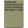Molecular mechanisms of photo-oxidative damage in cells door Aldwin Suryo Rahmanto