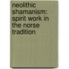Neolithic Shamanism: Spirit Work in the Norse Tradition door Raven Kaldera