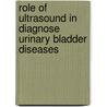 Role of Ultrasound in Diagnose Urinary Bladder Diseases by Mustafa Alhassen