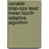 Variable Step-Size Least Mean Fourth Adaptive Algorithm door Syed Muhammad Asad