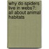 Why Do Spiders Live In Webs?: All About Animal Habitats