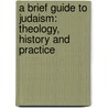 A Brief Guide To Judaism: Theology, History And Practice by Naftali Brawer