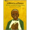 A Weed Is a Flower: The Life of George Washington Carver by Aliki