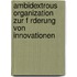 Ambidextrous Organization Zur F Rderung Von Innovationen
