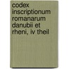 Codex Inscriptionum Romanarum Danubii Et Rheni, Iv Theil door Johann Wilhelm Christian Steiner