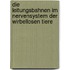 Die Leitungsbahnen im Nervensystem der wirbellosen Tiere
