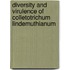 Diversity and Virulence of Colletotrichum Lindemuthianum