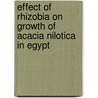 Effect of Rhizobia on Growth of Acacia Nilotica in Egypt door Amira Soliman