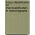 Fuzzy Classification of Microcalcification in Mammograms