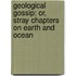 Geological Gossip: Or, Stray Chapters On Earth and Ocean