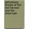 Gettysburg: Stories Of The Red Harvest And The Aftermath door Elsie Singmaster