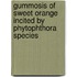 Gummosis of Sweet Orange Incited by Phytophthora Species