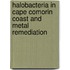 Halobacteria in Cape Comorin Coast and Metal Remediation