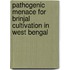 Pathogenic Menace for Brinjal Cultivation in West Bengal