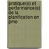 Pratique(s) Et Performance(s) De La Planification En Pme