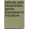 Salicylic acid biosynthetic genes expressed in Rhizobium door Ahmed Ibrahim