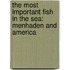 The Most Important Fish in the Sea: Menhaden and America