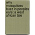 Why Mosquitoes Buzz In Peoples Ears: A West African Tale