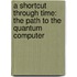A Shortcut Through Time: The Path to the Quantum Computer