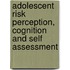 Adolescent Risk Perception, Cognition and Self Assessment