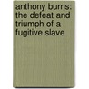 Anthony Burns: The Defeat And Triumph Of A Fugitive Slave door Virginia Hamilton