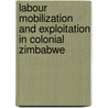 Labour Mobilization And Exploitation In Colonial Zimbabwe door Samson Mutsagondo