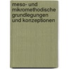 Meso- und mikromethodische Grundlegungen und Konzeptionen by Franz Ferdinand Mersch