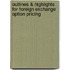 Outlines & Highlights For Foreign Exchange Option Pricing