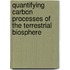 Quantifying Carbon Processes Of The Terrestrial Biosphere