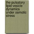 The Pulsatory Lipid Vesicle Dynamics Under Osmotic Stress