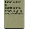 Tissue Culture Of Abelmoschus Moschatus, A Medicinal Herb door Nandkishor Rampure Prashant Wagh