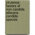 Virulence factors of non-Candida albicans Candida species