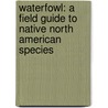 Waterfowl: A Field Guide to Native North American Species door James Kavanaugh