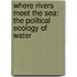 Where Rivers Meet the Sea: The Political Ecology of Water