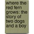Where The Red Fern Grows: The Story Of Two Dogs And A Boy